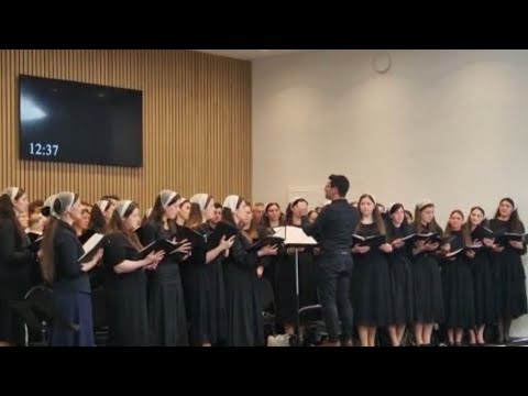 Miniatură video